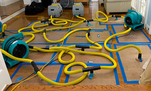 Professional Burst Pipe Water Damage technician working in New Haven, MO